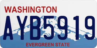 WA license plate AYB5919