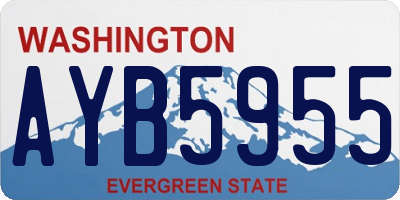 WA license plate AYB5955