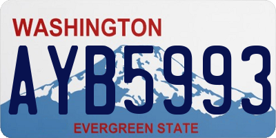 WA license plate AYB5993