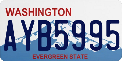 WA license plate AYB5995