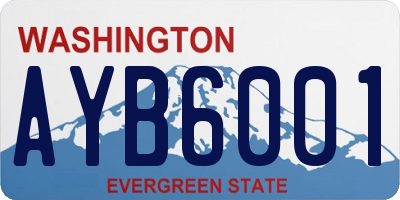 WA license plate AYB6001