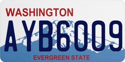 WA license plate AYB6009