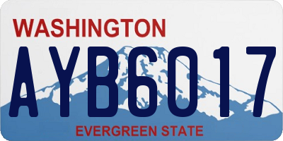 WA license plate AYB6017