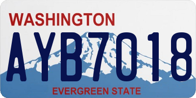 WA license plate AYB7018