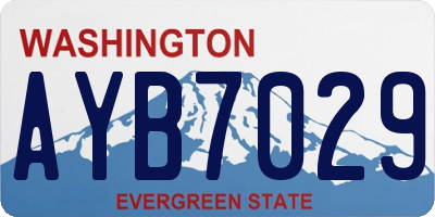 WA license plate AYB7029