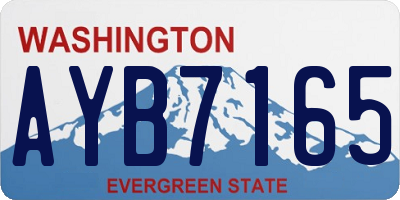 WA license plate AYB7165