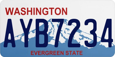 WA license plate AYB7234