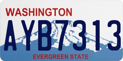 WA license plate AYB7313