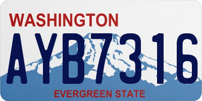 WA license plate AYB7316