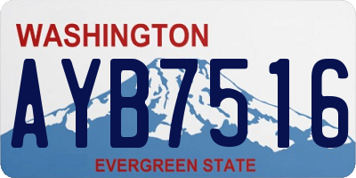 WA license plate AYB7516