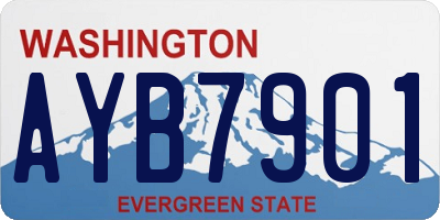 WA license plate AYB7901