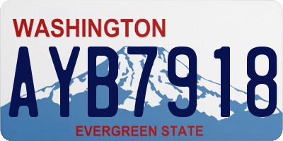 WA license plate AYB7918