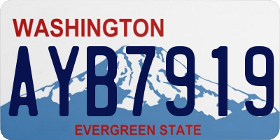 WA license plate AYB7919