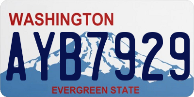 WA license plate AYB7929