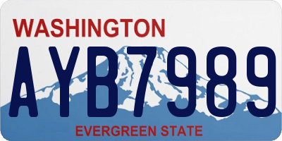 WA license plate AYB7989