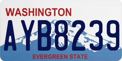 WA license plate AYB8239