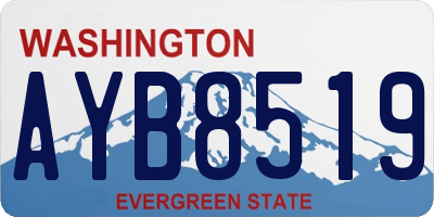 WA license plate AYB8519