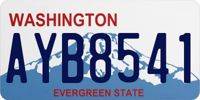 WA license plate AYB8541