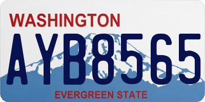WA license plate AYB8565