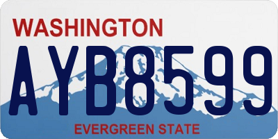WA license plate AYB8599