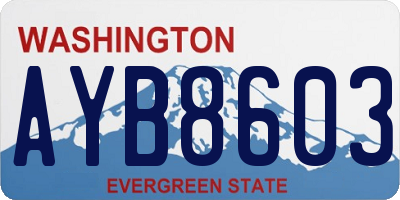 WA license plate AYB8603