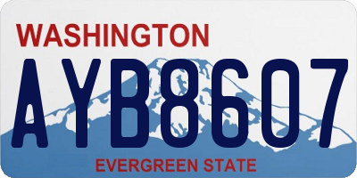 WA license plate AYB8607