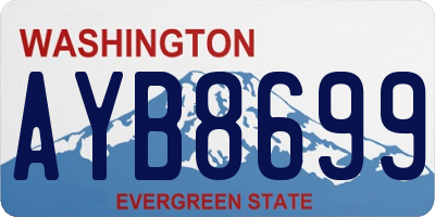 WA license plate AYB8699