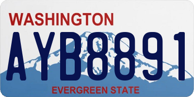 WA license plate AYB8891