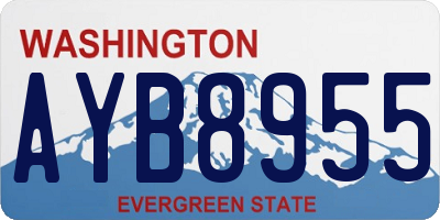 WA license plate AYB8955