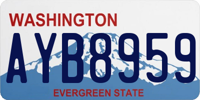 WA license plate AYB8959