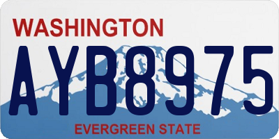 WA license plate AYB8975