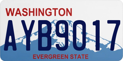 WA license plate AYB9017