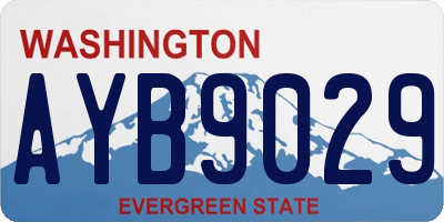 WA license plate AYB9029