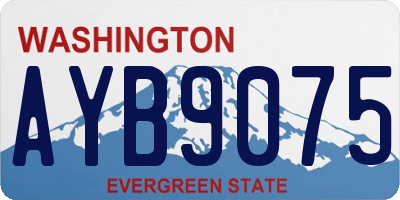 WA license plate AYB9075
