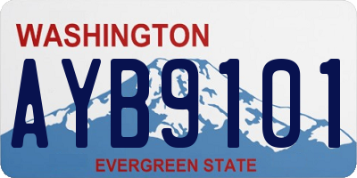 WA license plate AYB9101