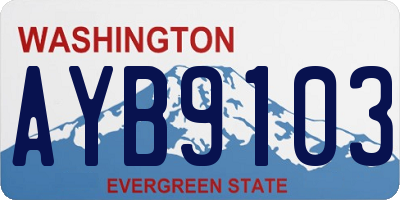 WA license plate AYB9103