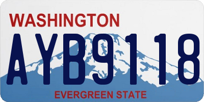 WA license plate AYB9118