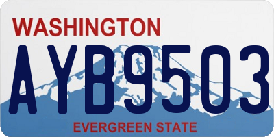 WA license plate AYB9503