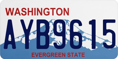 WA license plate AYB9615