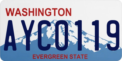 WA license plate AYC0119