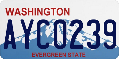WA license plate AYC0239