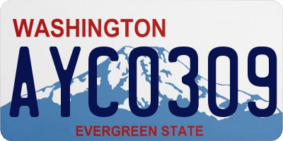 WA license plate AYC0309