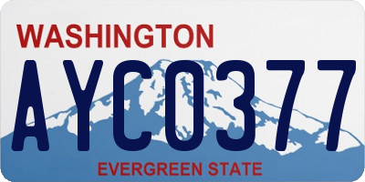 WA license plate AYC0377