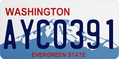 WA license plate AYC0391