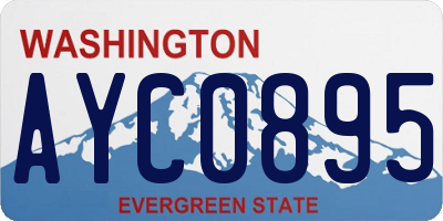 WA license plate AYC0895