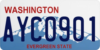 WA license plate AYC0901