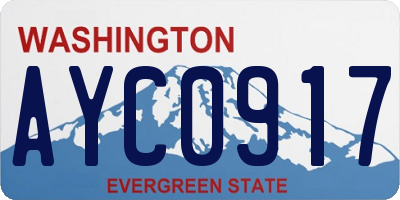 WA license plate AYC0917