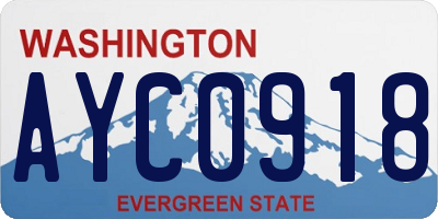 WA license plate AYC0918