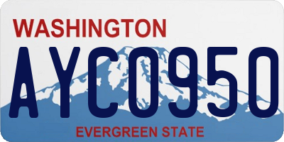WA license plate AYC0950