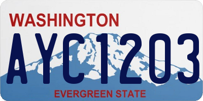 WA license plate AYC1203